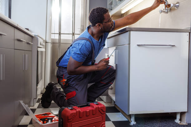 Best Local Plumber Services  in Honokaa, HI