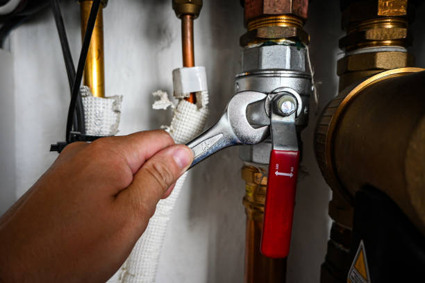 Best Sewer Line Repair  in Honokaa, HI